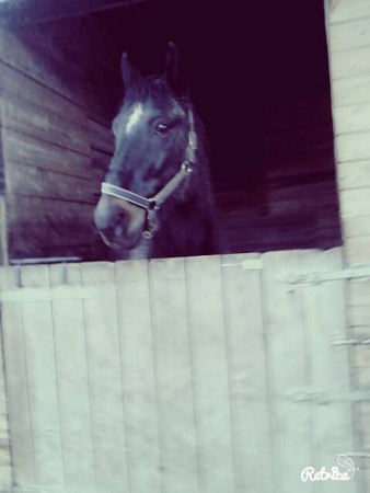 Limó♥