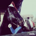 /album/fenykepgaleria/a10942281-784954994906585-2051979294-n-jpg1/